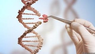 تعديل الجينات قد يؤدي للإصابة بالسرطان