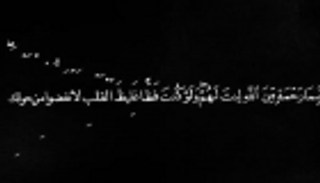 "جماليات القرآن الكريم" بالرسم.. تجربة جريئة لمهندس مصري