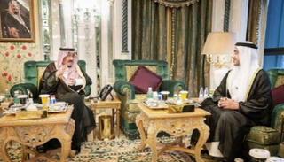 الملك سلمان والشيخ عبدالله بن زايد آل نهيان 