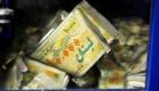 صندوق النقد يحث لبنان على إجراء ضبط مالي "فوري وكبير"