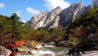 "جبال كومجانج".. شاهدة على استئناف "لم شمل" عائلات الكوريتين