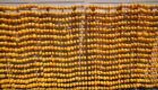 بالفيديو..بطارية لشحن السيارات عن طريق الليمون