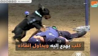 كلب يسعف شرطيا في مدريد