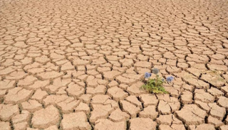أرض جافة لعدم تساقط الأمطار - أرشيفية