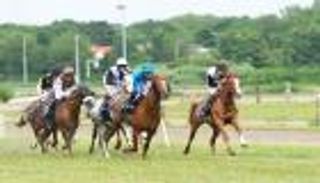 إيطاليا رابع محطة في كأس رئيس الإمارات للخيول العربية الأصيلة 