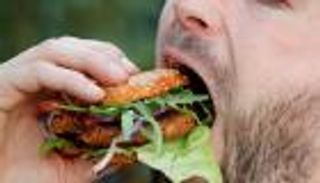 برجر الحشرات يصل ألمانيا بعد نجاح التجربة في هولندا وبلجيكا