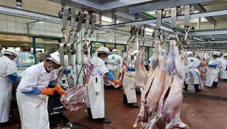 مسالخ بلدية مدينة أبوظبي