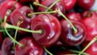 الصين تبحث عن بدائل لمنتجات أمريكية تحسبا لحرب "الجمعة"