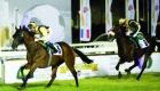 انطلاق منافسات كأس الوثبة ضمن مهرجان منصور بن زايد