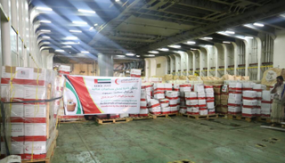 سفينة شحن إماراتية تحمل أطنانا من المواد الغذائية تصل ميناء المكلا