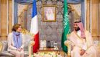 ولي العهد السعودي يبحث مع وزيرة الدفاع الفرنسية مجالات التعاون الثنائي