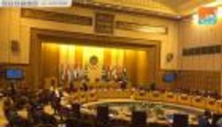 الجامعة العربية تشيد بدعم مصر للكهرباء والصحة بفلسطين