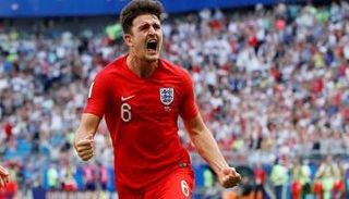 هاري ماجوير