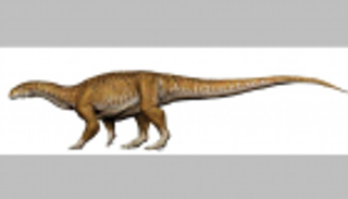 اكتشاف بقايا "إنجنتيا برايما" أقدم ديناصور عملاق 