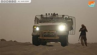 المقاومة التهامية تدعم ألوية العمالقة بـ7 آلاف مقاتل