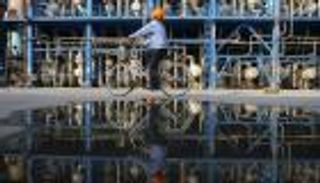 أسعار النفط تتجه لهبوط أسبوعي كبير