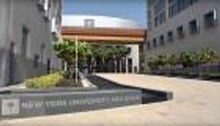 "نيويورك أبوظبي" تعلن الطلاب الفائزين بـ"منحة الشيخ محمد بن زايد" 