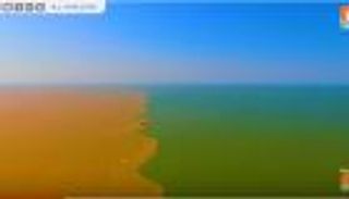 نهر من الطين يحول سطح البحر إلى عرض سحري في الصين