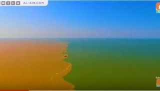 نهر من الطين يحول سطح البحر إلى عرض سحري في الصين