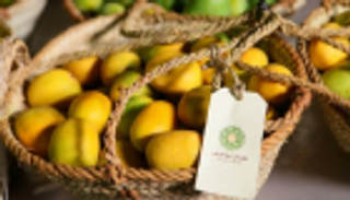 2500 مشارك يتنافسون على 6 ملايين درهم في مهرجان ليوا للرطب الـ14