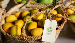 فعاليات الدورة الـ 14 من مهرجان ليوا للرطب تنطلق الأربعاء