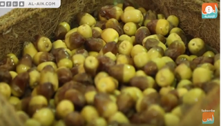 مهرجان ليوا للرطب