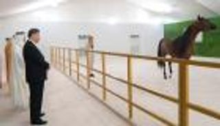 محمد بن زايد يهدي الرئيس الصيني حصانا عربيا أصيلا