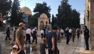 قطعان من المستوطنين يقتحمون ساحات الأقصى تحت حماية شرطة الاحتلال