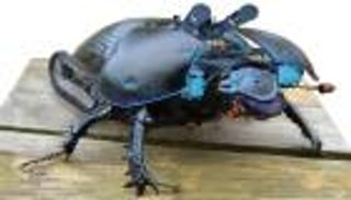 رولز رويس تستعين بـ"الصراصير" لإصلاح محركات الطائرات