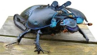 رولز رويس تطور روبوتات على شكل "صراصير"