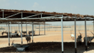 "مساندة" تعيد صيانة مرافق مركز الدليجة لإدارة الحياة البرية بأبوظبي