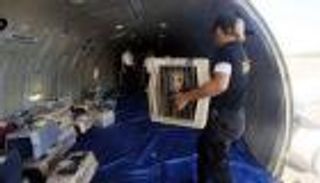 روسيا.. كلب "مذعور" يتسبب في هبوط اضطراري لرحلة جوية