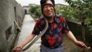 بالصور.. قرية الثعابين في الصين تنتج  3 ملايين ثعبان سنوياً