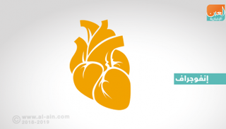 أطعمة تعزز صحة القلب والشرايين