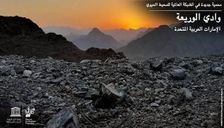 إدراج