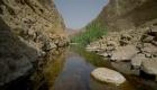 الزيودي: الاعتراف الدولي بمحمية "الوريعة" إضافة لإنجازات الإمارات