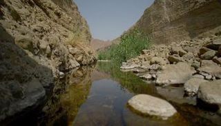 محمية وادي الوريعة في الفجيرة 
