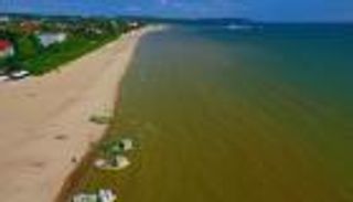 بولندا.. الطحالب السامة تغزو الشواطئ وتهدد المصطافين