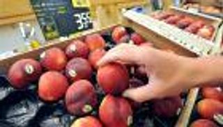 روسيا تمنع دخول الخوخ التركي