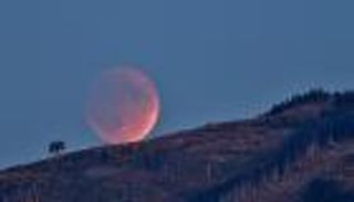 إنفوجراف.. كيفية صلاة الخسوف وحكمها