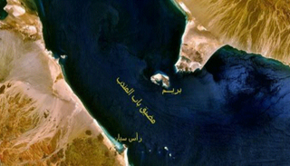 4.6 مليون برميل نفط تمر عبر مضيق باب المندب يوميا