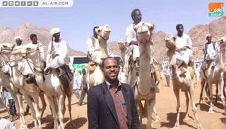 سباق الهجن في السودان