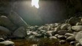 محمية وادي الوريعة بالفجيرة.. تنوع بيولوجي فريد