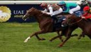 مضمار ولينجتون يحتضن سباقات كأس رئيس الإمارات