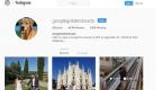 فيديو لكلب خشي صعود السلالم يحصل على 2.3 مليون مشاهدة