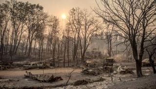 الحرائق تلتهم غابات كاليفورنيا