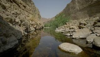 وادي الوريعة في إمارة الفجيرة