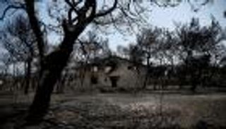 اليونان.. ارتفاع عدد القتلى إلى 91 جراء حرائق غابات