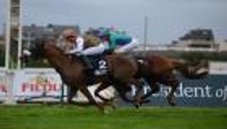 المهر عون يفوز بلقب كأس رئيس الإمارات للخيول العربية الأصيلة في بلجيكا