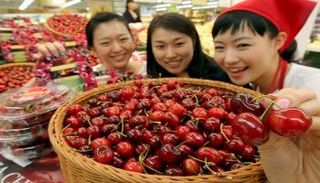 الكرز.. القوة المضادة للأكسدة